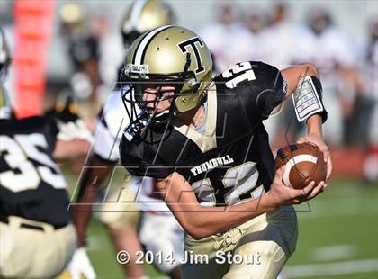 Thumbnail 1 in Warde @ Trumbull photogallery.
