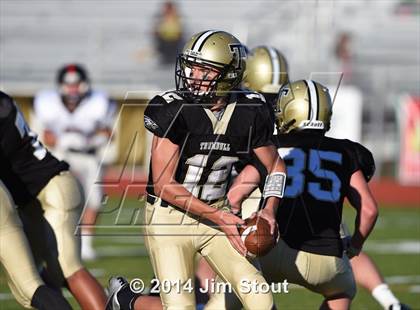 Thumbnail 3 in Warde @ Trumbull photogallery.