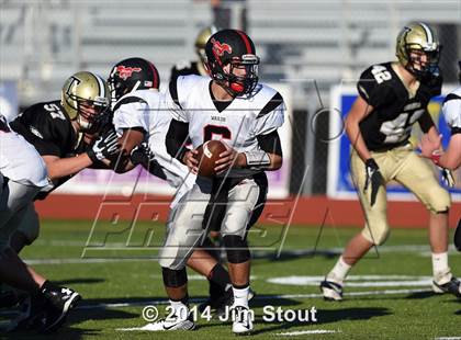 Thumbnail 3 in Warde @ Trumbull photogallery.