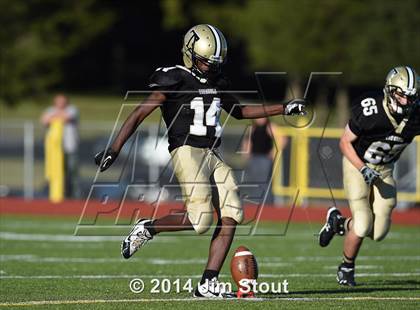 Thumbnail 1 in Warde @ Trumbull photogallery.