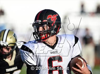 Thumbnail 3 in Warde @ Trumbull photogallery.