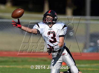 Thumbnail 2 in Warde @ Trumbull photogallery.