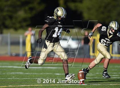 Thumbnail 3 in Warde @ Trumbull photogallery.