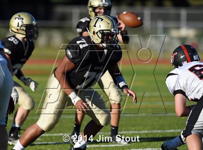 Thumbnail 2 in Warde @ Trumbull photogallery.