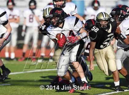 Thumbnail 1 in Warde @ Trumbull photogallery.