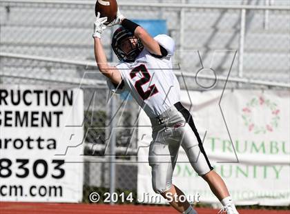 Thumbnail 3 in Warde @ Trumbull photogallery.