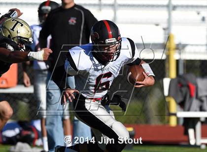 Thumbnail 3 in Warde @ Trumbull photogallery.