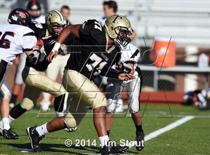 Thumbnail 1 in Warde @ Trumbull photogallery.
