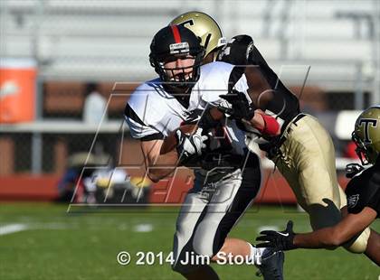 Thumbnail 2 in Warde @ Trumbull photogallery.