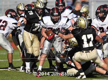 Thumbnail 2 in Warde @ Trumbull photogallery.