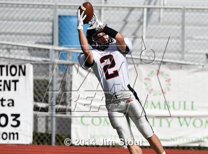 Thumbnail 2 in Warde @ Trumbull photogallery.