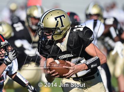 Thumbnail 2 in Warde @ Trumbull photogallery.