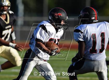 Thumbnail 3 in Warde @ Trumbull photogallery.