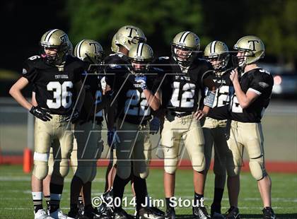Thumbnail 1 in Warde @ Trumbull photogallery.