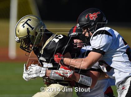 Thumbnail 3 in Warde @ Trumbull photogallery.