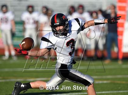 Thumbnail 1 in Warde @ Trumbull photogallery.