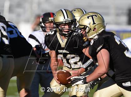 Thumbnail 2 in Warde @ Trumbull photogallery.