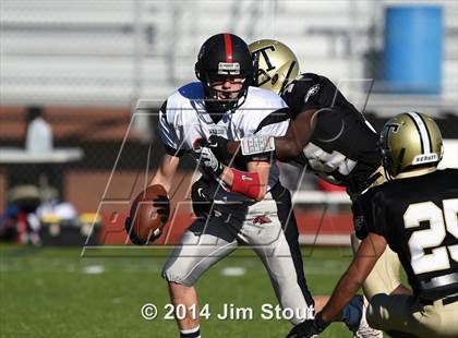 Thumbnail 1 in Warde @ Trumbull photogallery.