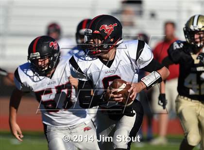 Thumbnail 2 in Warde @ Trumbull photogallery.