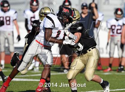 Thumbnail 1 in Warde @ Trumbull photogallery.