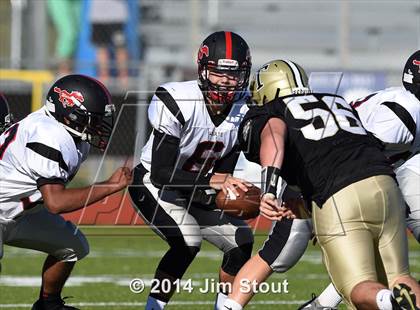 Thumbnail 1 in Warde @ Trumbull photogallery.