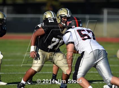 Thumbnail 3 in Warde @ Trumbull photogallery.