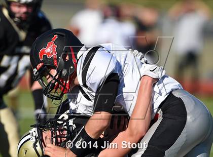 Thumbnail 2 in Warde @ Trumbull photogallery.