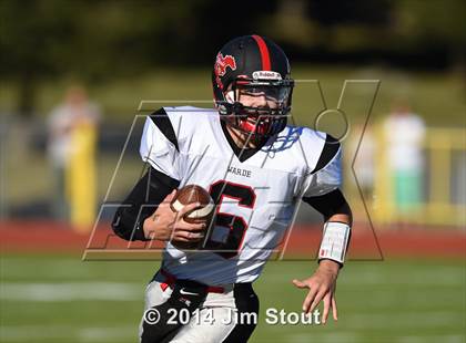 Thumbnail 3 in Warde @ Trumbull photogallery.