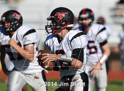 Thumbnail 3 in Warde @ Trumbull photogallery.