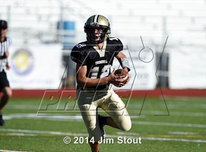 Thumbnail 1 in Warde @ Trumbull photogallery.