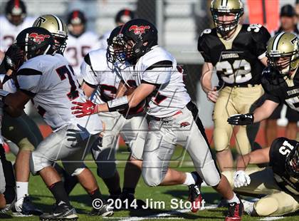 Thumbnail 1 in Warde @ Trumbull photogallery.
