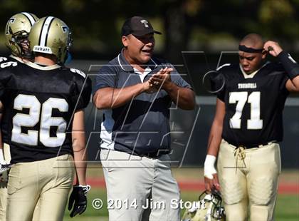 Thumbnail 1 in Warde @ Trumbull photogallery.