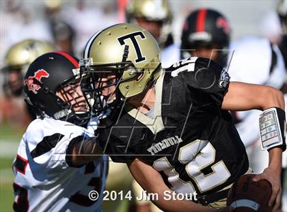 Thumbnail 3 in Warde @ Trumbull photogallery.