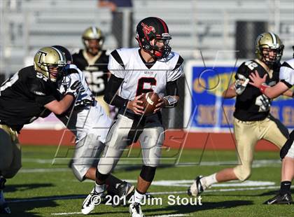 Thumbnail 1 in Warde @ Trumbull photogallery.
