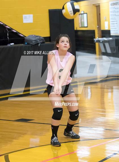 Thumbnail 1 in Soddy Daisy @ Hixson photogallery.