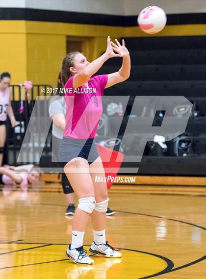 Thumbnail 1 in Soddy Daisy @ Hixson photogallery.