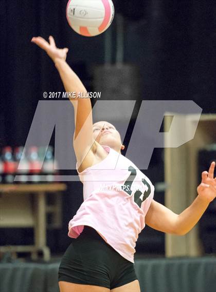 Thumbnail 1 in Soddy Daisy @ Hixson photogallery.