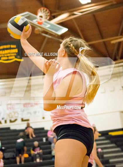 Thumbnail 1 in Soddy Daisy @ Hixson photogallery.