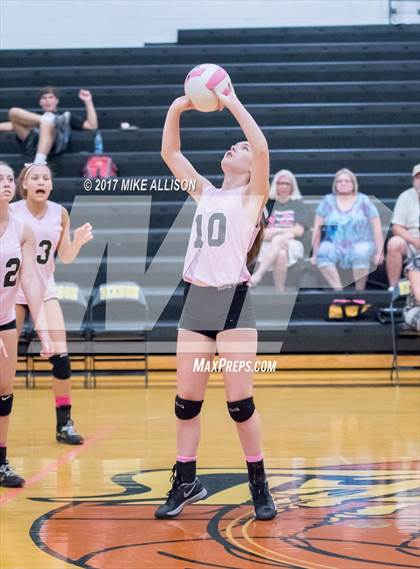 Thumbnail 1 in Soddy Daisy @ Hixson photogallery.