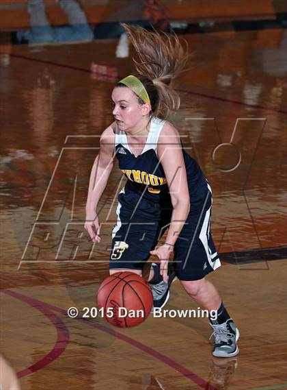 Thumbnail 3 in Seymour @ South-Doyle (TSSAA D2-AAA Quarterfinals) photogallery.