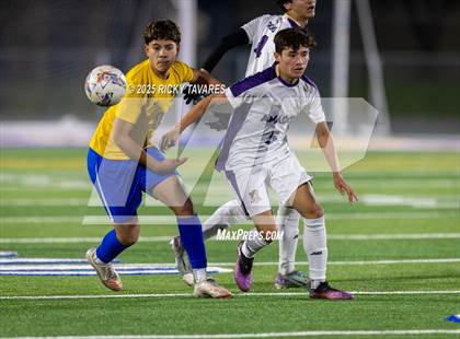 Thumbnail 3 in Amador Valley @ Newark Memorial photogallery.