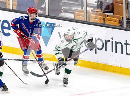 Thumbnail 3 in Tewksbury Memorial vs. Canton (MIAA Division 2 State Final) photogallery.