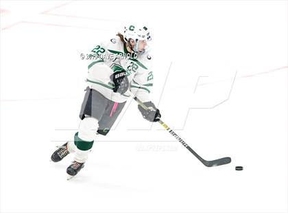 Thumbnail 1 in Tewksbury Memorial vs. Canton (MIAA Division 2 State Final) photogallery.