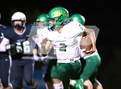 Photo from the gallery "Cardinal Gibbons @ Green Level"