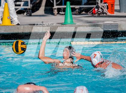 Thumbnail 1 in Poly @ Servite photogallery.