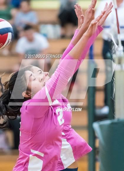 Thumbnail 1 in American @ Moreau Catholic photogallery.