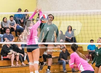 Thumbnail 2 in American @ Moreau Catholic photogallery.