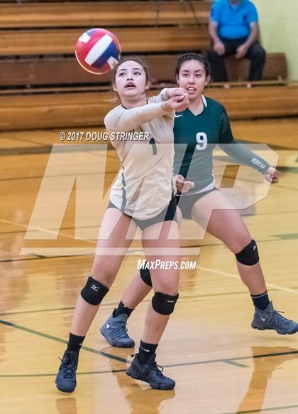 Thumbnail 1 in American @ Moreau Catholic photogallery.