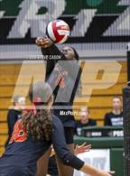 Photo from the gallery "St. Francis @ Granite Bay"