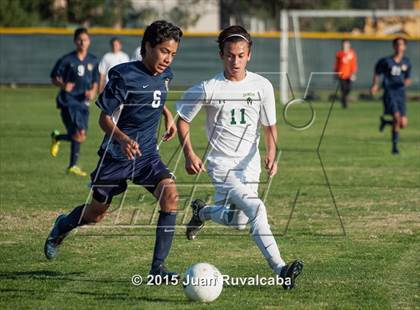 Thumbnail 3 in Damien vs Los Osos photogallery.